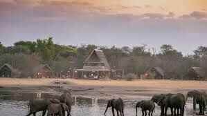 Best Of Zimbabwe Tour