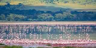 Explore Tanzania Tour