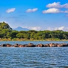 Kenyan Safari Tour