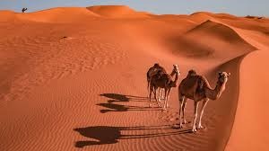 Enchanting Oman Tour