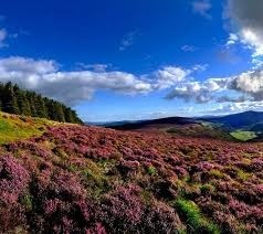 Ireland – On Self Drive Tour