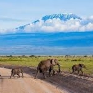 Amboseli National Park_11zon