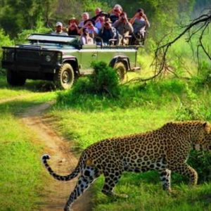 Chitwan