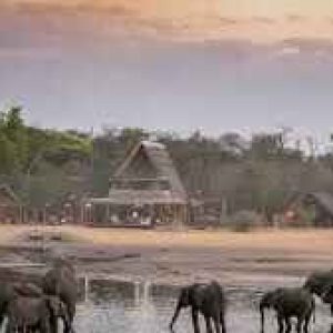 Hwange National Park 1