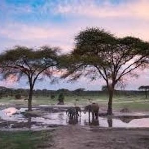 Hwange National Park-min