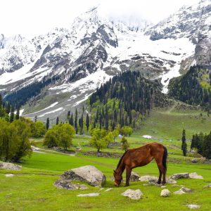 KASHMIR 2