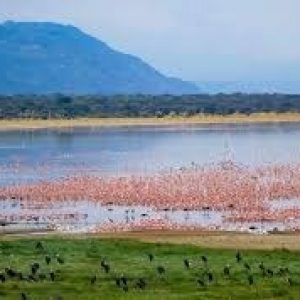 Lake Manyara National Park