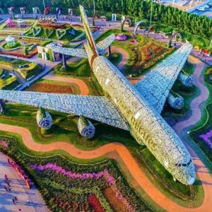 Miracle Garden 1