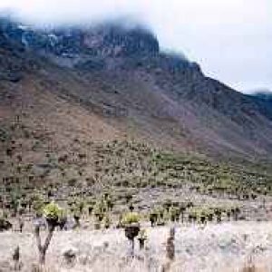 Mt Kenya National Park
