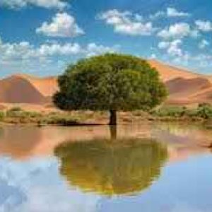 Namib Naukluft National Park