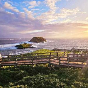 Phillip Island & Moonlit Sanctuary
