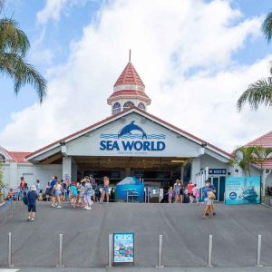 Sea world entrance tickets