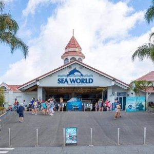 Sea world entrance tickets