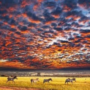 Serengeti National Park