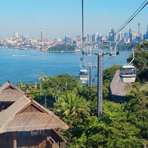Sky safari cable car