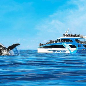 Whale watching cruise without transfers and Showboat dinner cruise